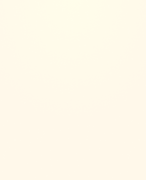 Rectangle 51